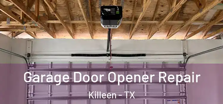  Garage Door Opener Repair Killeen - TX